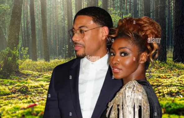 Aaron Pierre Wife: What We Know, What We Don’t, and Why Fans Are So Curious aaron pierre wife